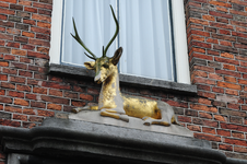 904606 Afbeelding van een verguld hert boven de ingang van Het Hertenhuis ('Huis ten Hart', Oudegracht 86) te Utrecht.